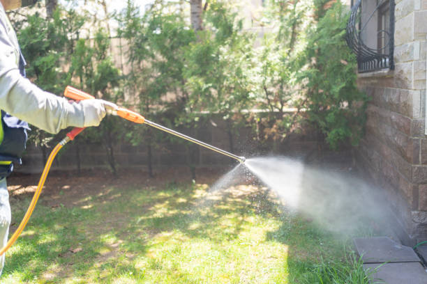Best Local Pest Control Services  in Freemansburg, PA