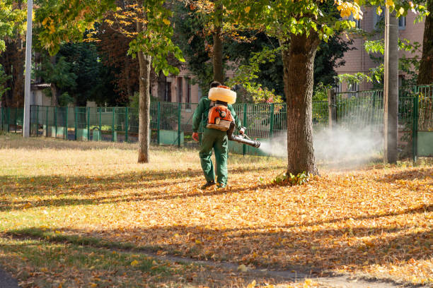 Best Best Pest Control Companies  in Freemansburg, PA