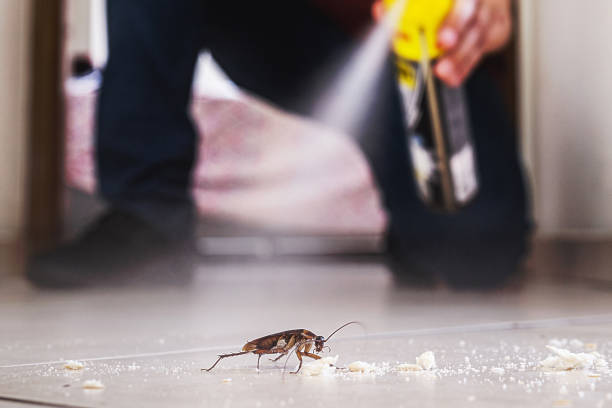 Best Commercial Pest Control Services  in Freemansburg, PA