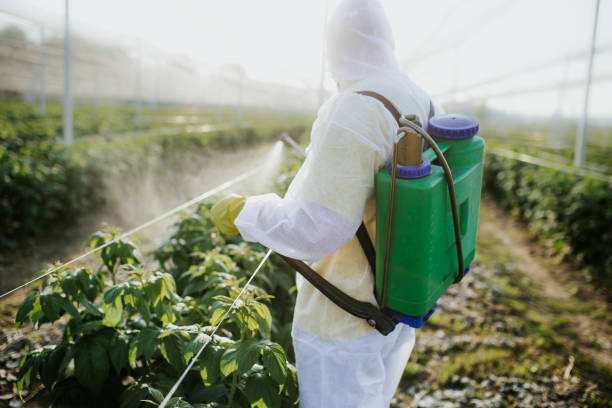 Best Affordable Pest Control Services  in Freemansburg, PA